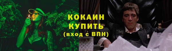 2c-b Белокуриха
