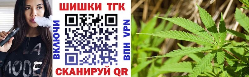 Купить закладки  Козьмодемьянск  Бошки марихуана AK-47 